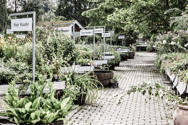 Gartneri og planteskole