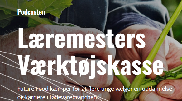 Læremesters Værktøjskasse, Podcast